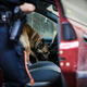 Image for article titled Sheriff’s Falsified Drug Test Leads to Unwarranted Strip Search of Two Men